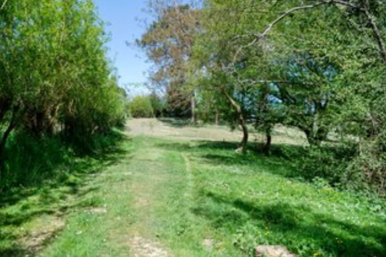 Glamping : nos dômes & son lac privé : Dôme en Aquitaine (Nouvelle Aquitaine) - photo 22 sur 23