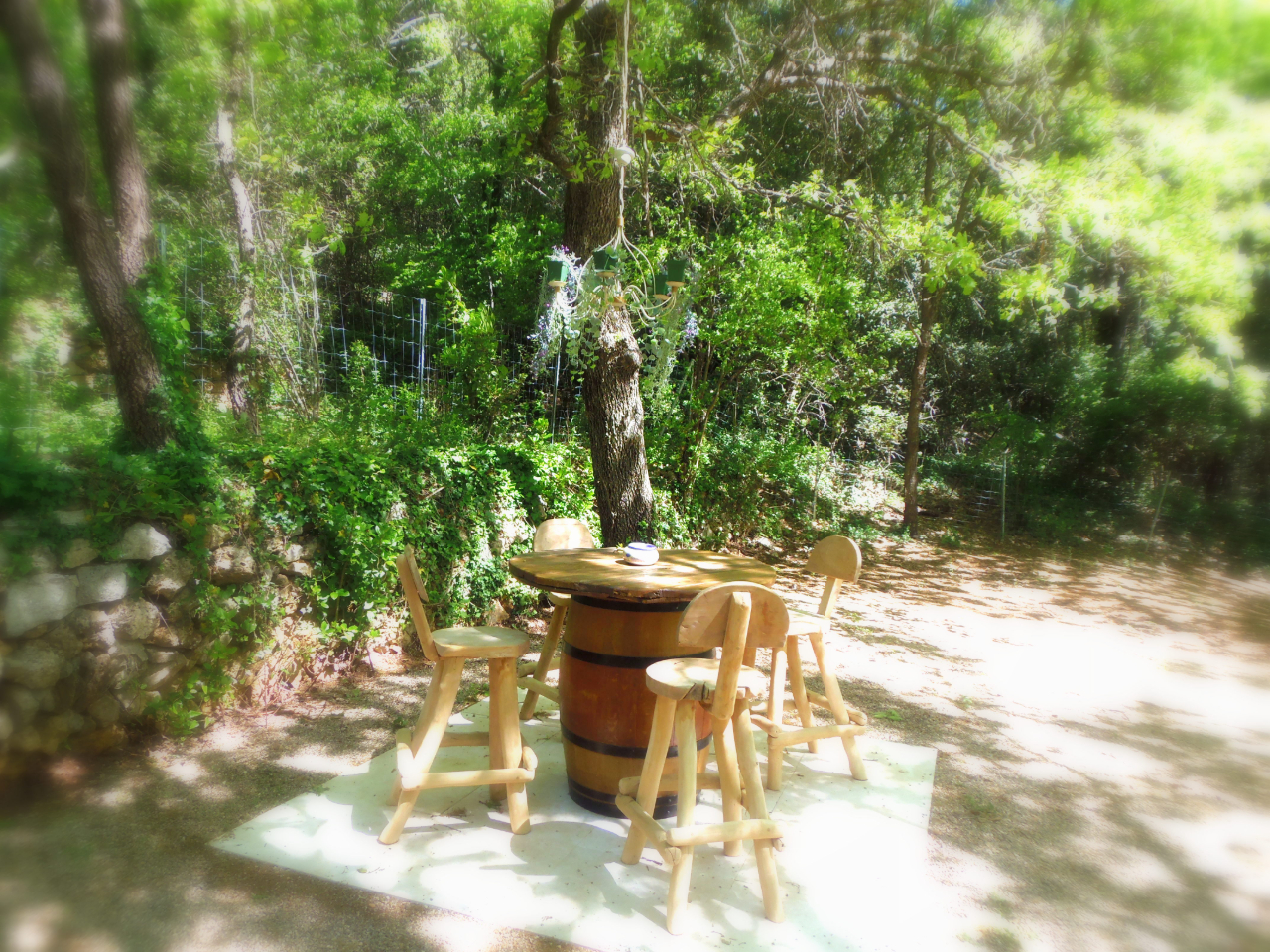 Le Domaine de l'Insolite – photo 16 sur 17