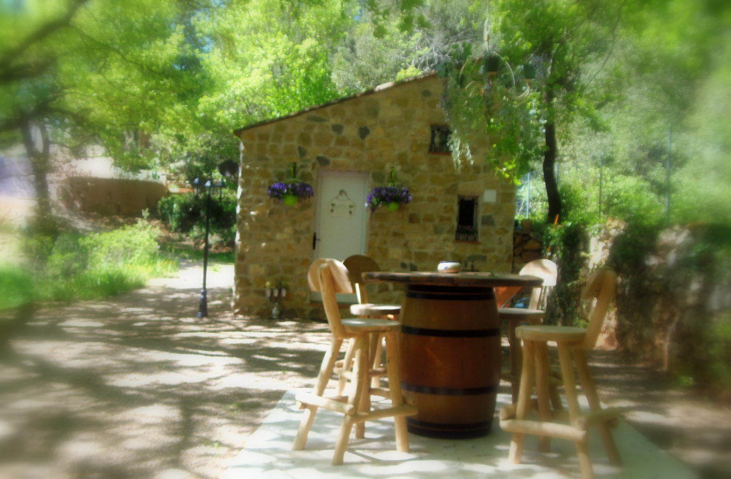 Le Domaine de l'Insolite – photo 17 sur 17