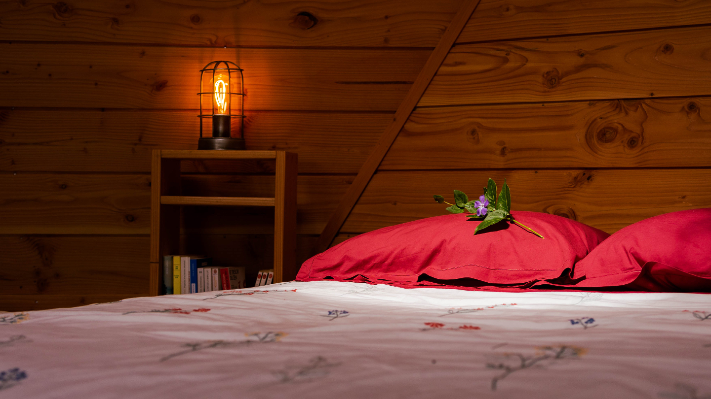 Chambre dôme sous les étoiles à Saint-Senoux