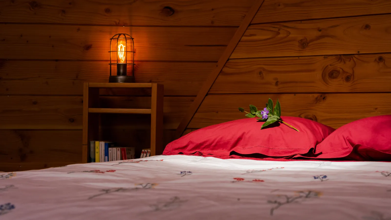 Chambre dôme sous les étoiles à Saint-Senoux