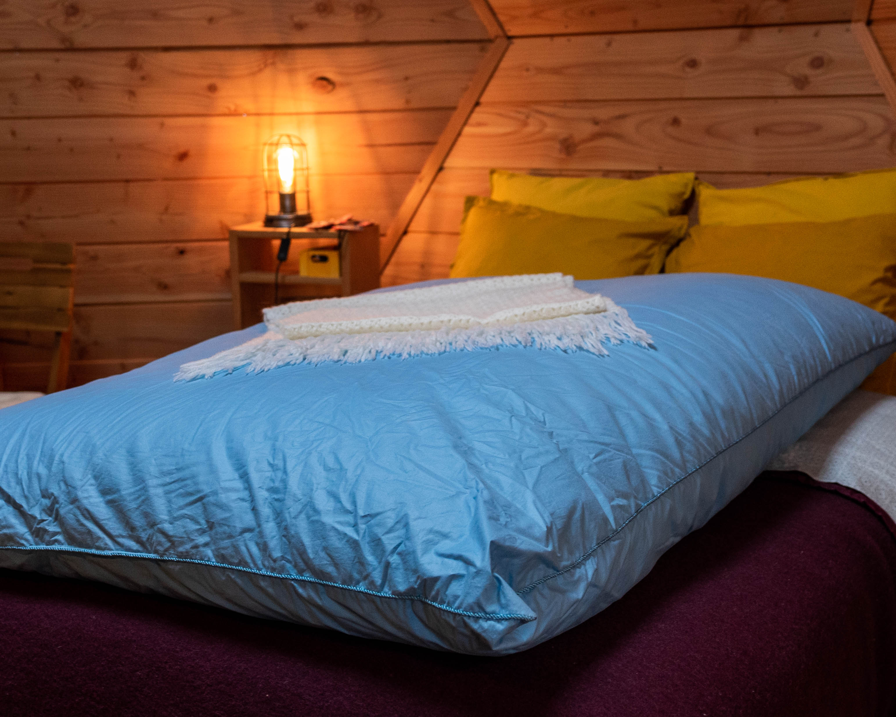 dôme insolite Ille-et-Vilaine – photo 5