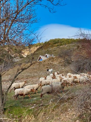 Le Dôme de Jèpo : Dôme en Provence-Alpes-Côte d'Azur – photo 17 sur 35