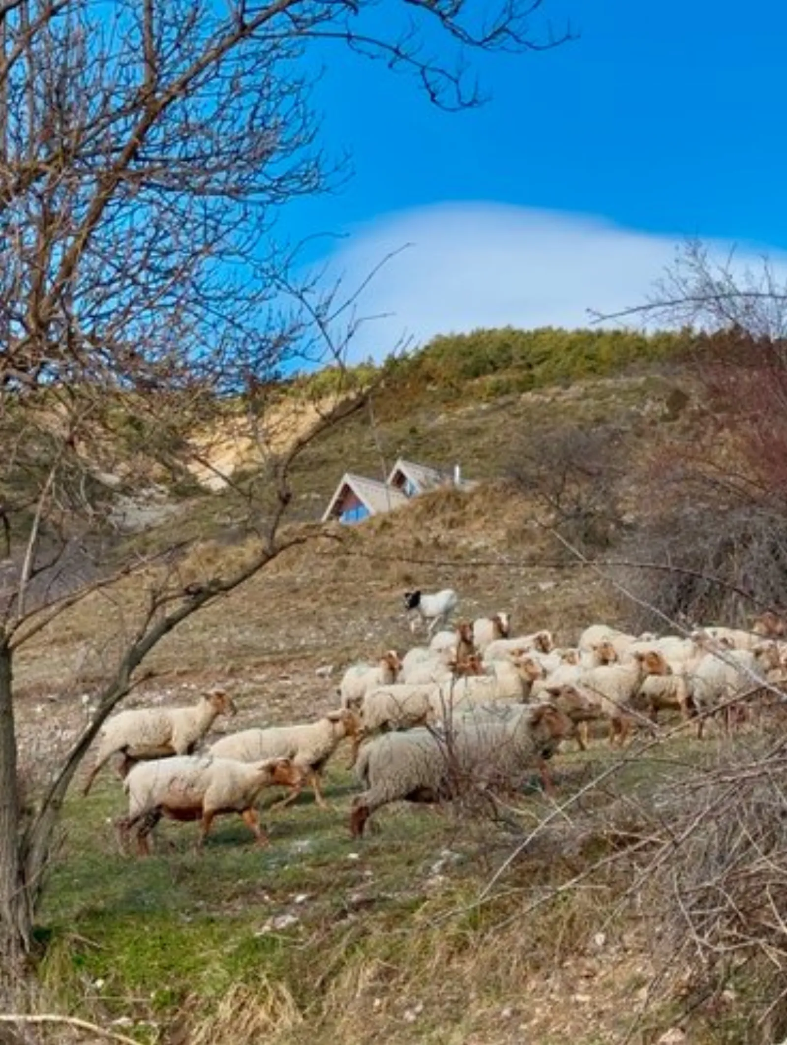 Le Dôme de Jèpo : Dôme en Provence-Alpes-Côte d'Azur - photo 17 sur 35
