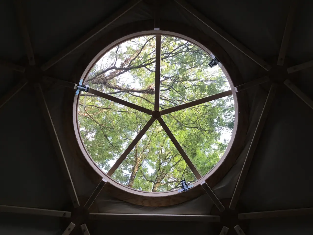 Le dôme de l'étang - Dôme en bois au bord d'un étang (Saint-Pardoux-Soutiers, Deux-Sèvres) - photo 7 sur 11