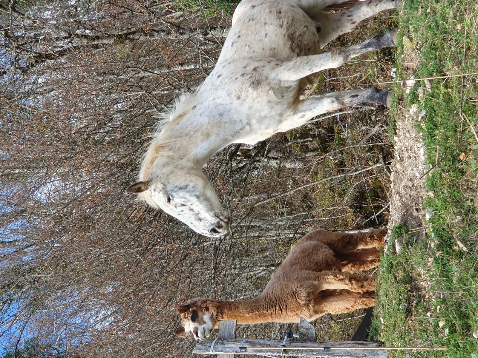 Équipements du dôme à Arith