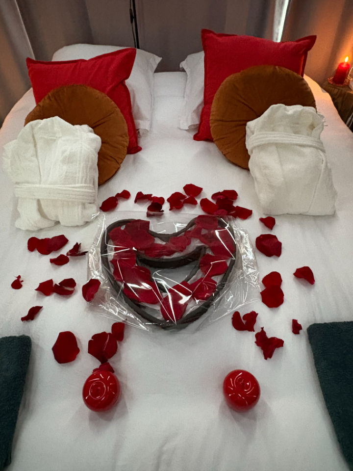 dôme insolite Ille-et-Vilaine – photo 5