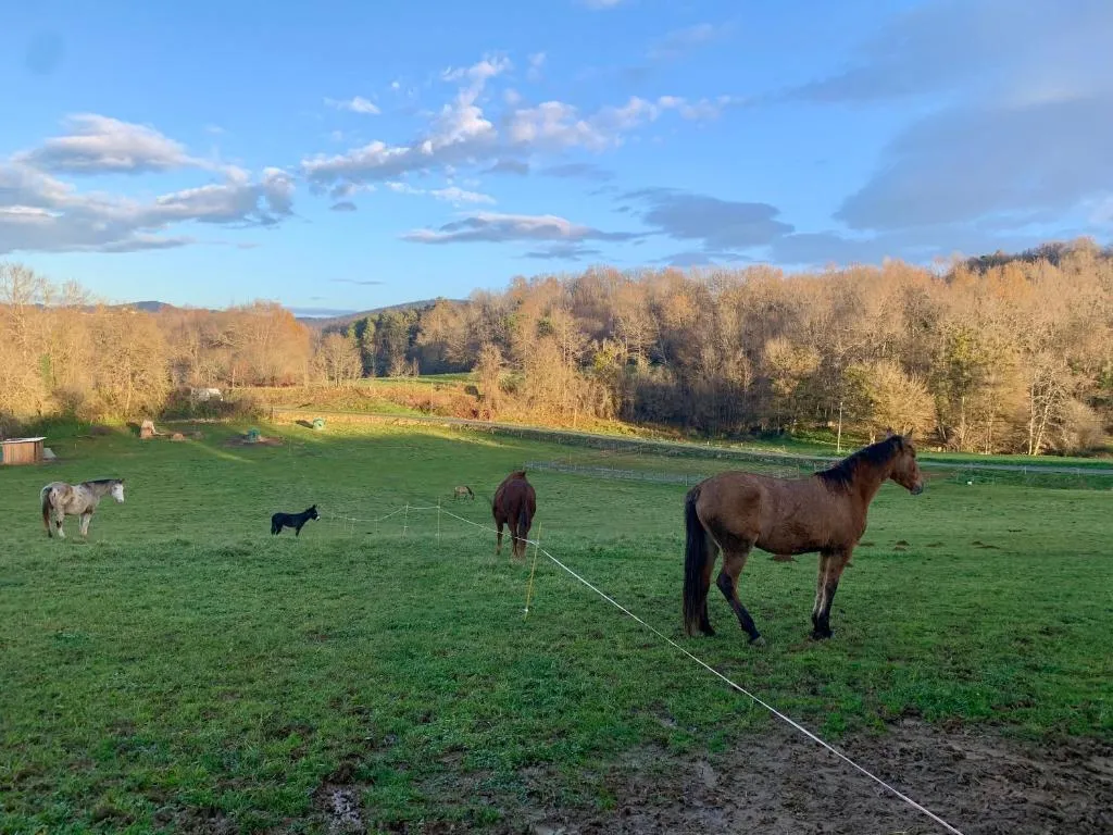 Le Do-dôme du Ranch du Bonheur - Dôme à la ferme équestre (Tourtouse, Ariège) - photo 19 sur 19