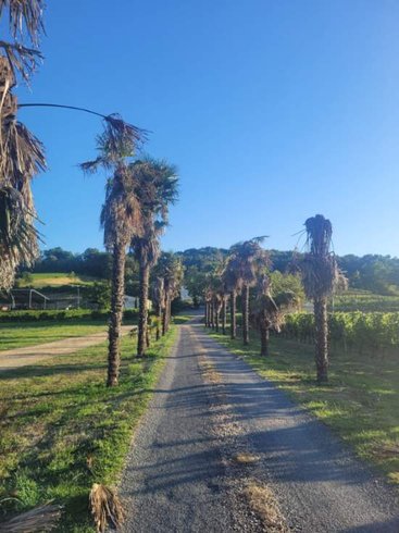 Le Dôme romantique du lac de la Cadie & Spa : Dôme en Aquitaine (Nouvelle Aquitaine) – photo 22 sur 30