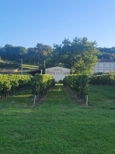 Le Dôme romantique du lac de la Cadie & Spa : Dôme en Aquitaine (Nouvelle Aquitaine) – photo 24 sur 30
