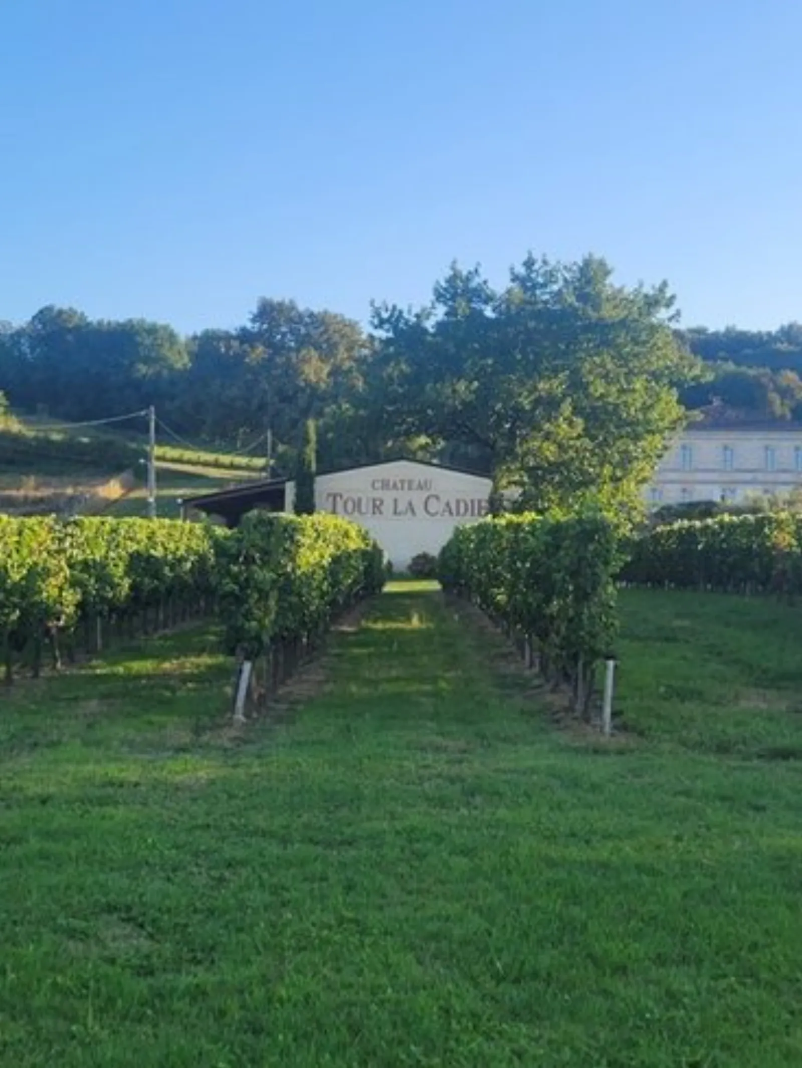 Le Dôme romantique du lac de la Cadie & Spa : Dôme en Aquitaine (Nouvelle Aquitaine) - photo 24 sur 30