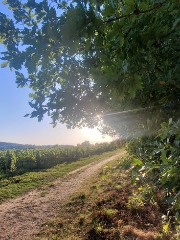 Le Dôme romantique du lac de la Cadie & Spa : Dôme en Aquitaine (Nouvelle Aquitaine) – photo 26 sur 30