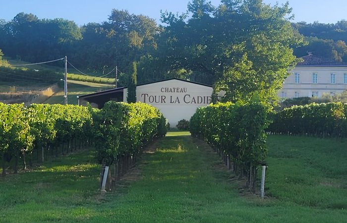 Le Dôme romantique du lac de la Cadie & Spa : Dôme en Aquitaine (Nouvelle Aquitaine) – photo 30 sur 30