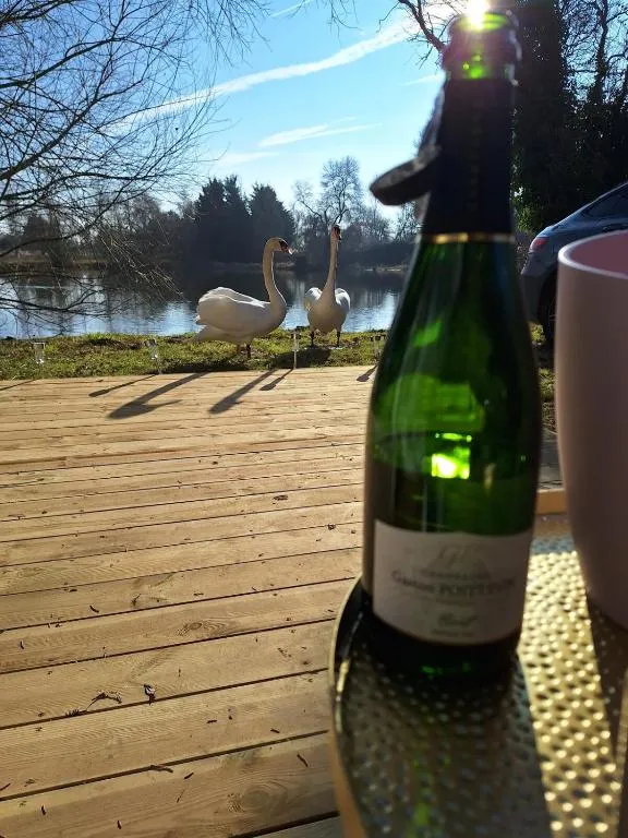 Le Dôme du Lac - Bulle transparente avec terrasse vue lac (Prouilly, Marne) - photo 19 sur 20