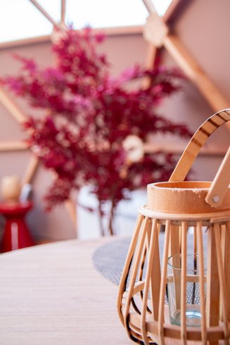 Le Dôme du Levant & Spa, Cinéma : Dôme en Lorraine (Grand Est) – photo 6 sur 29