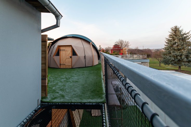 Le Dôme du Levant & Spa, Cinéma : Dôme en Lorraine (Grand Est) – photo 17 sur 29