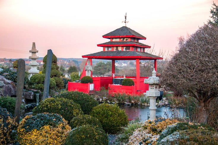 Le Dôme du Levant & Spa, Cinéma : Dôme en Lorraine (Grand Est) – photo 18 sur 29