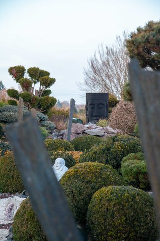 Le Dôme du Levant & Spa, Cinéma : Dôme en Lorraine (Grand Est) – photo 19 sur 29