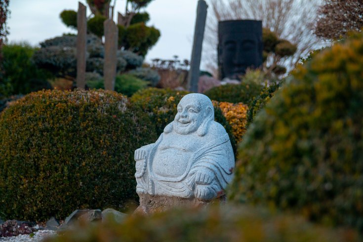 Le Dôme du Levant & Spa, Cinéma : Dôme en Lorraine (Grand Est) – photo 20 sur 29