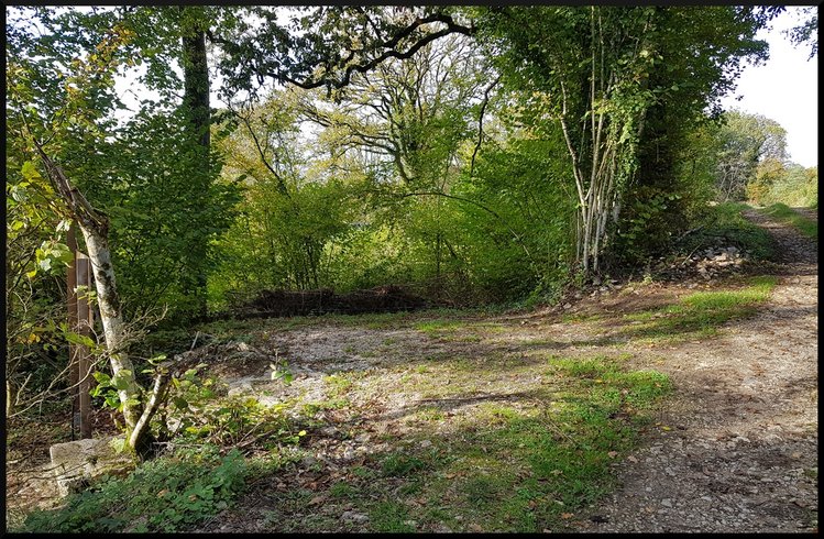 Le Dôme du Pré en Bulle : Dôme en Bourgogne (Bourgogne-Franche-Comté) – photo 12 sur 16