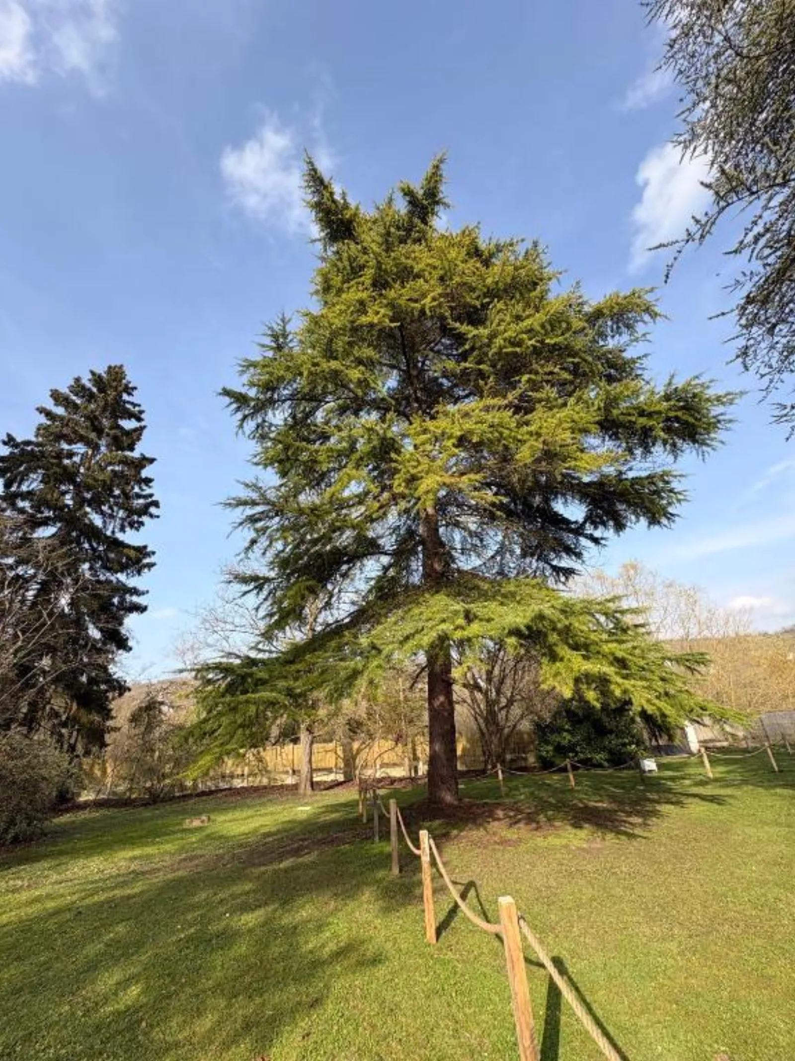 Le dôme en Seine - bord de Seine proche Giverny (Moisson, Yvelines) - photo 35 sur 36