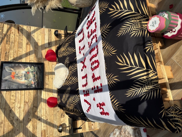 Le Lièvre & la Tortue – photo 6 sur 15