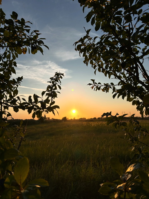 Le Lièvre & la Tortue – photo 13 sur 15