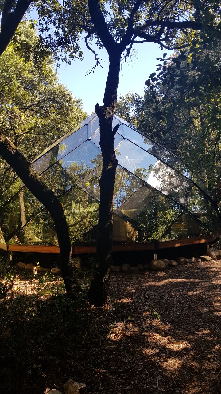 Le Diamant – photo 12 sur 24