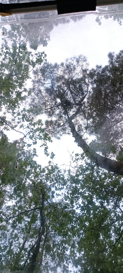 Le Mas de Montaud – photo 13 sur 35