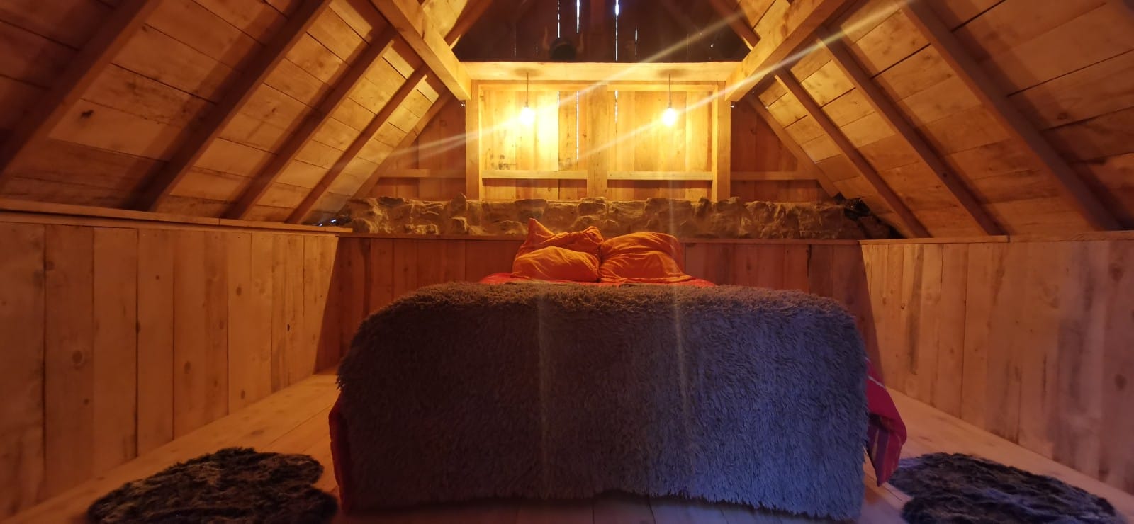 Le Mas de Montaud – photo 17 sur 35