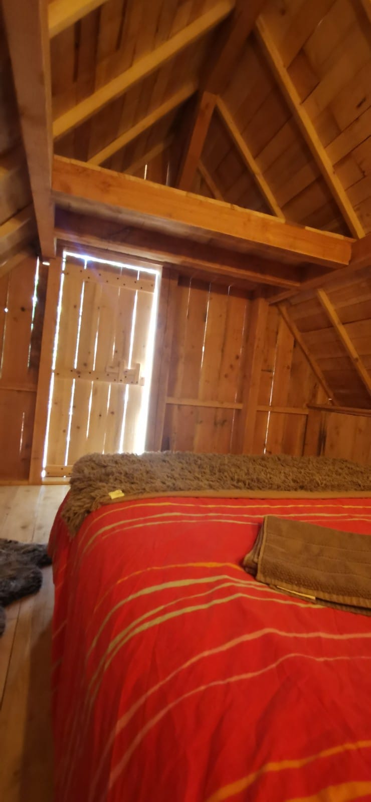 Le Mas de Montaud – photo 23 sur 35