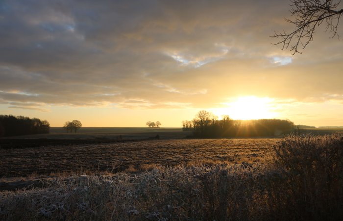 Zen Dome : Dôme en Centre (Centre-Val de Loire) – photo 18 sur 24