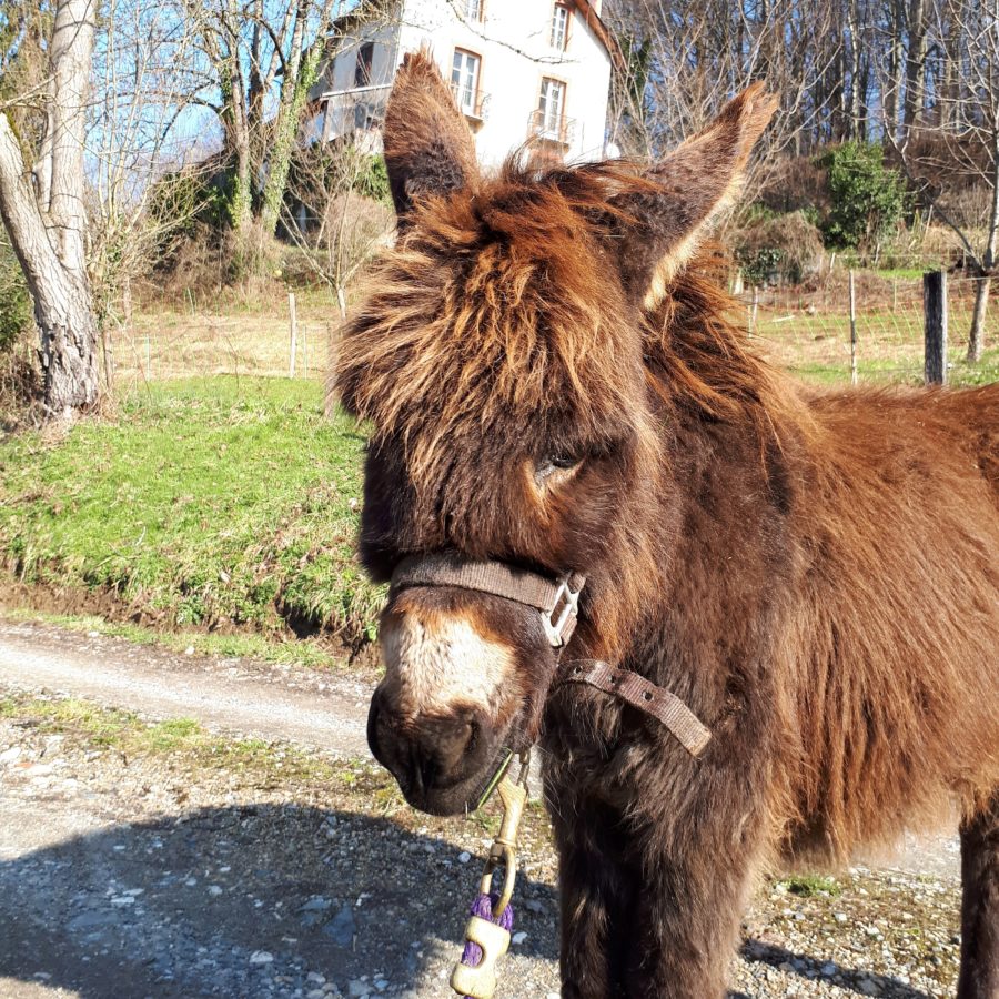 Le Perchoir des Pyrénnées – photo 7 sur 40