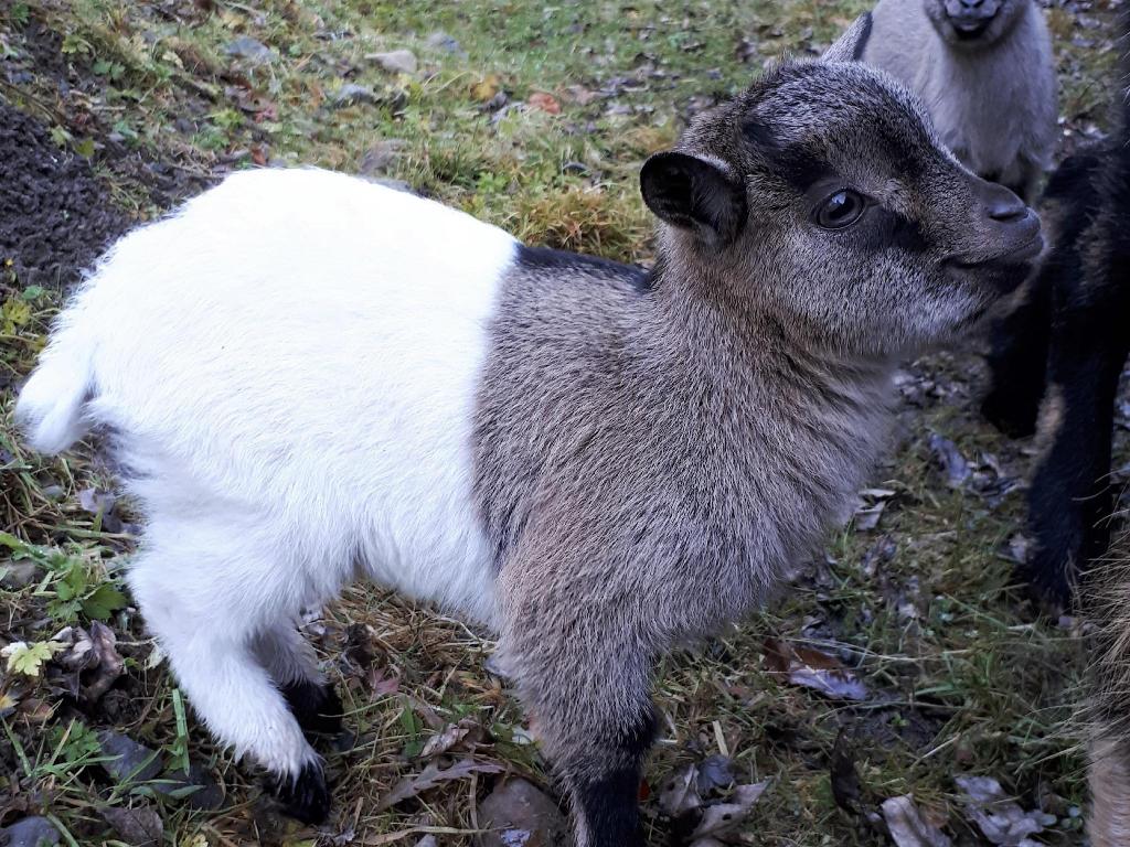 Le Perchoir des Pyrénnées – photo 8 sur 40