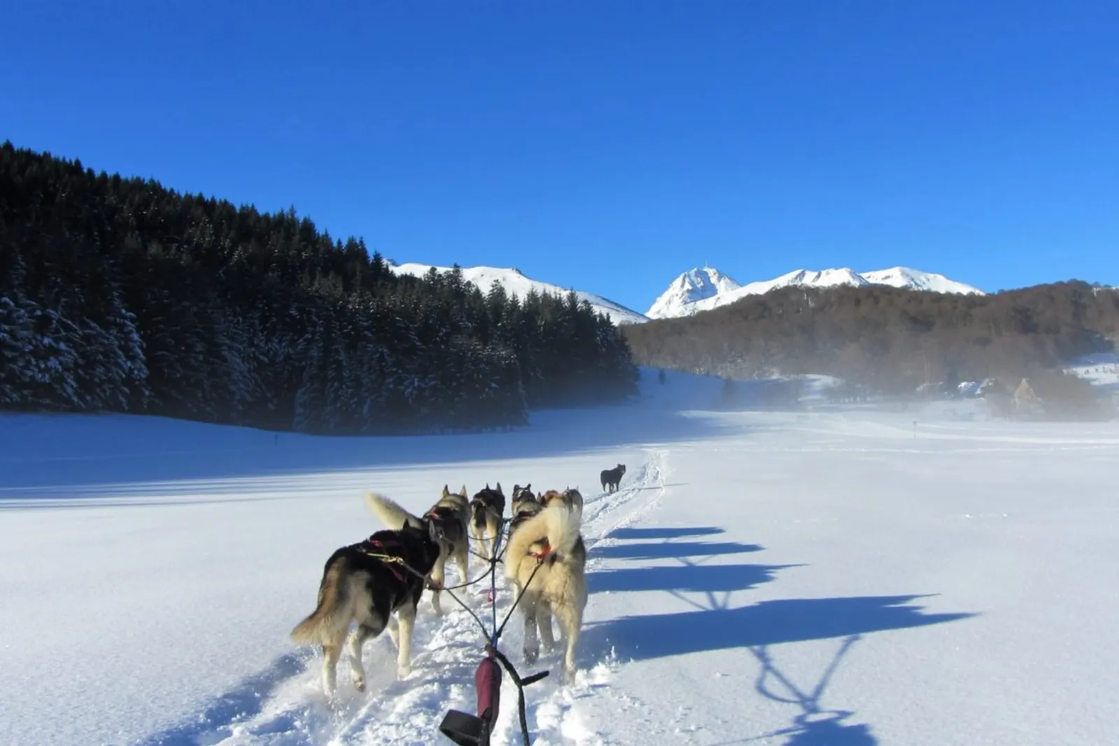 Le Perchoir des Pyrénnées - photo 13 sur 40