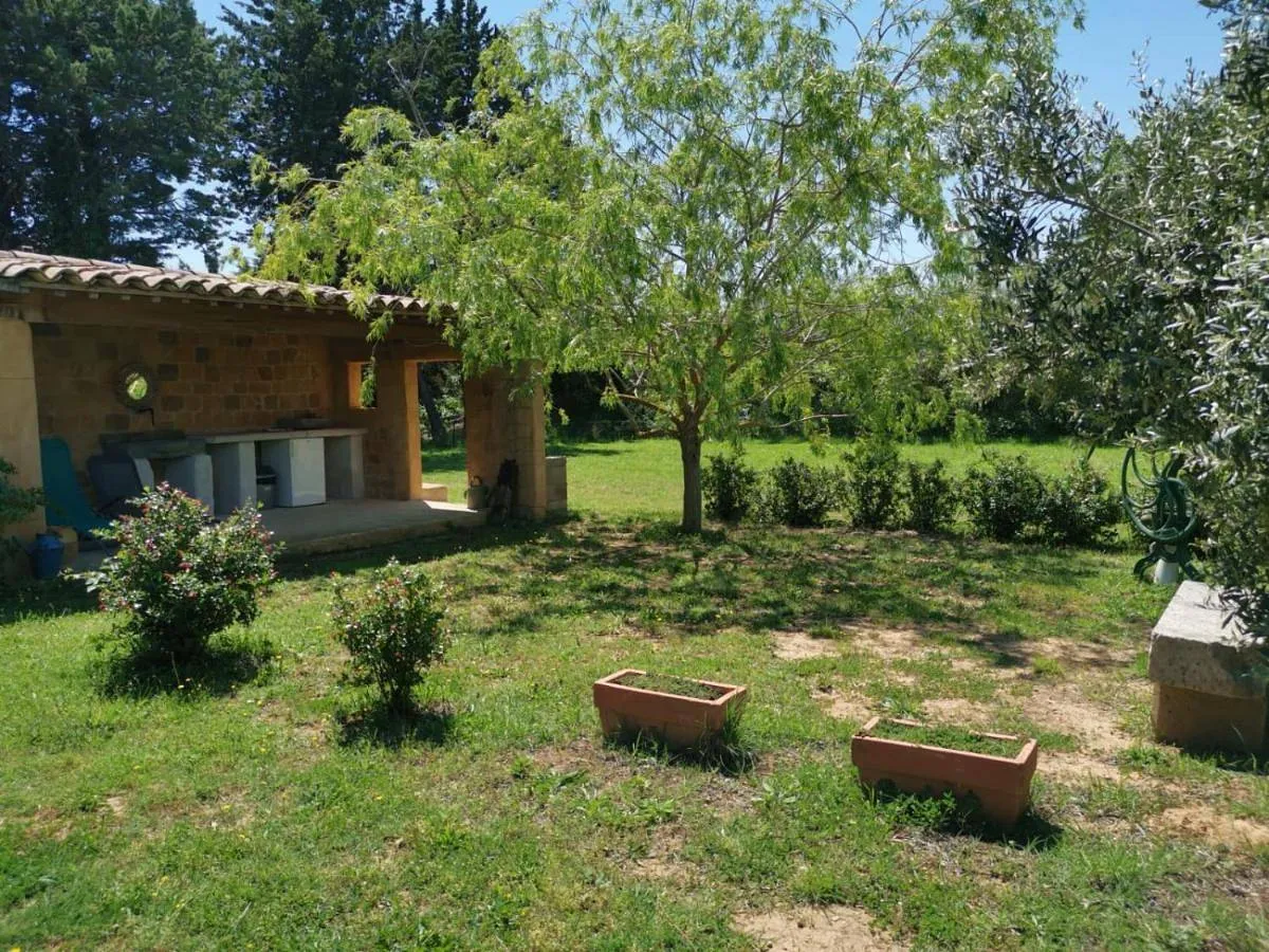 Le Sicilien Dôme et Spa - Dôme géodésique avec bain à remous (Saint-André-de-Roquelongue, Aude) - cadre naturel Aude