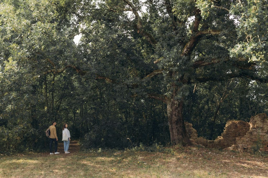 Cocon de verre avec Bain Nordique – photo 18 sur 33