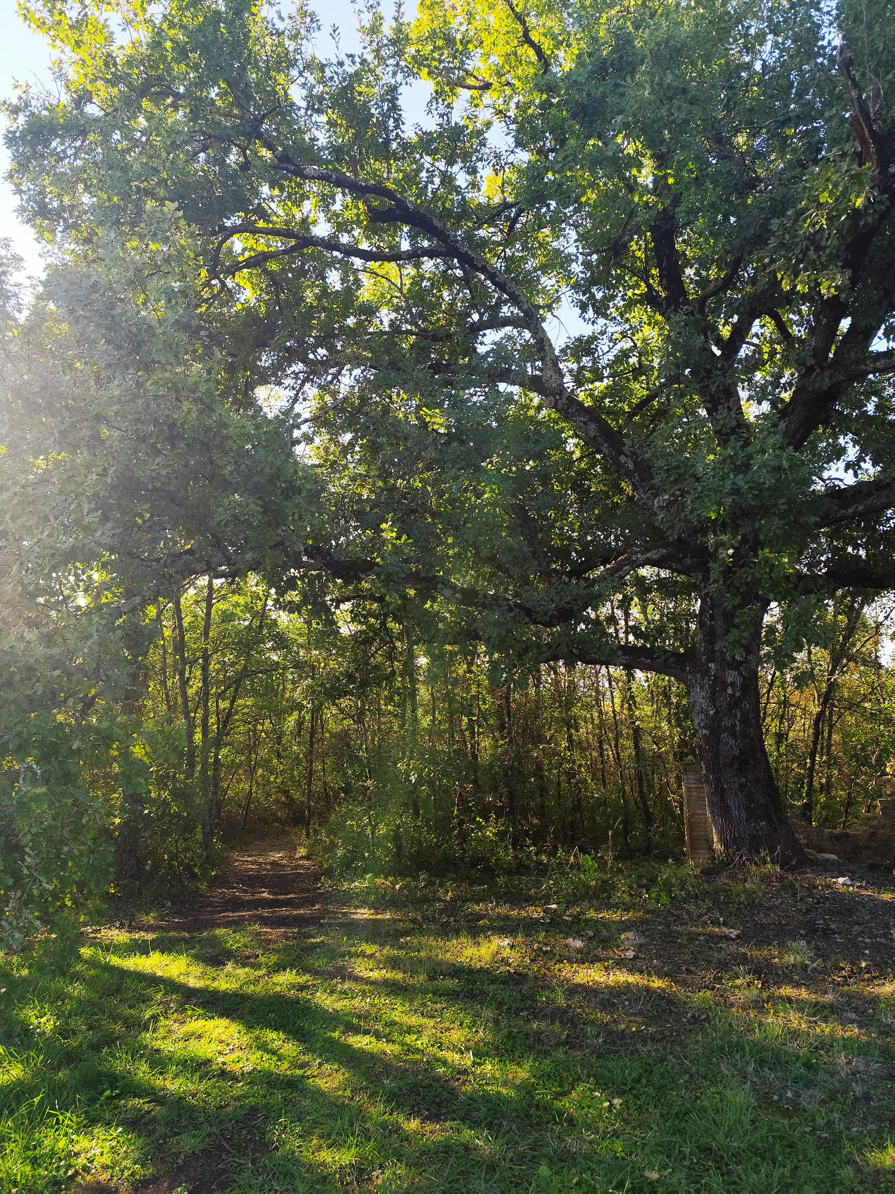 Cocon de verre avec Bain Nordique – photo 25 sur 33