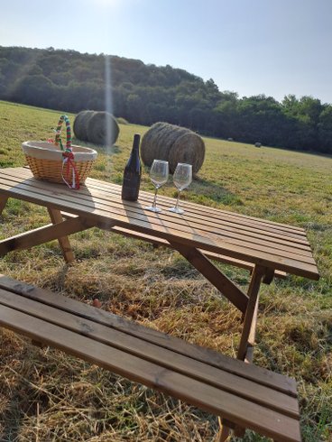 L'Ephémère & Spa : Dôme en Midi-Pyrénées (Occitanie) – photo 10 sur 40