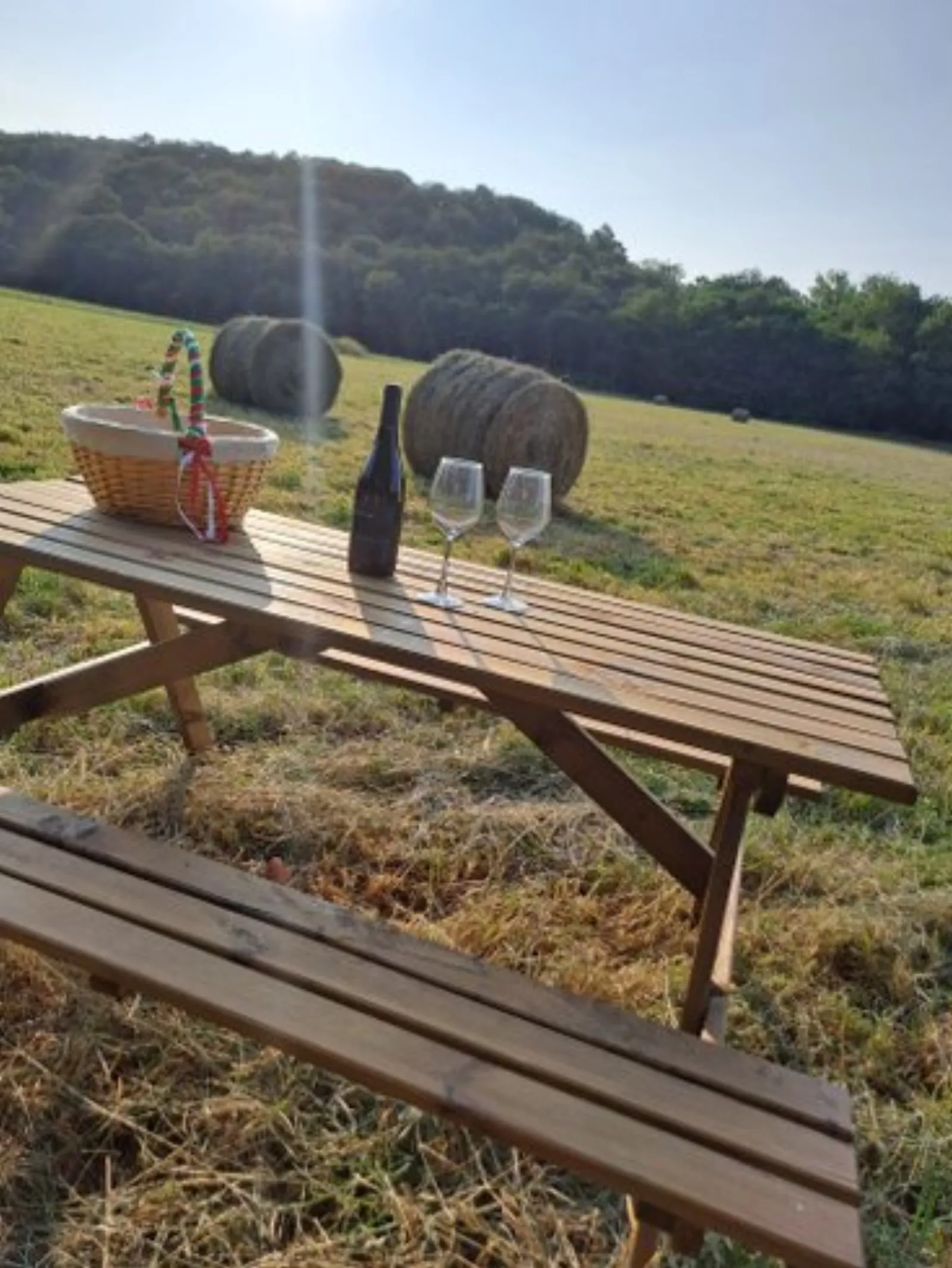 L'Ephémère & Spa : Dôme en Midi-Pyrénées (Occitanie) - photo 10 sur 40