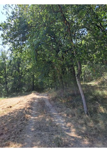 L'Ephémère & Spa : Dôme en Midi-Pyrénées (Occitanie) – photo 12 sur 40