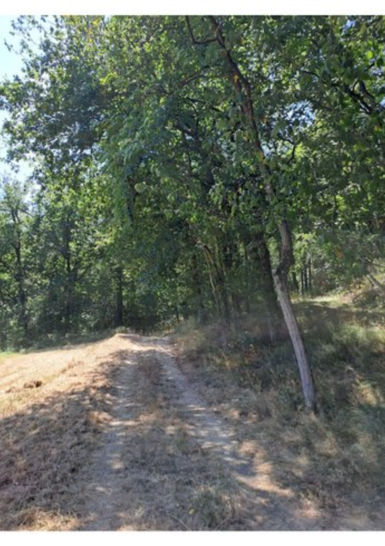 L'Ephémère & Spa : Dôme en Midi-Pyrénées (Occitanie) - photo 12 sur 40