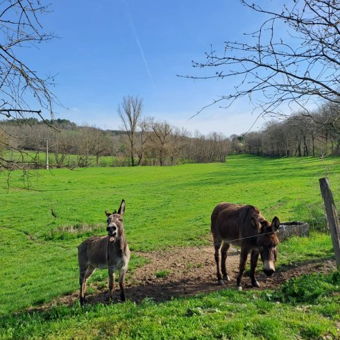 L'Ephémère & Spa : Dôme en Midi-Pyrénées (Occitanie) – photo 16 sur 40