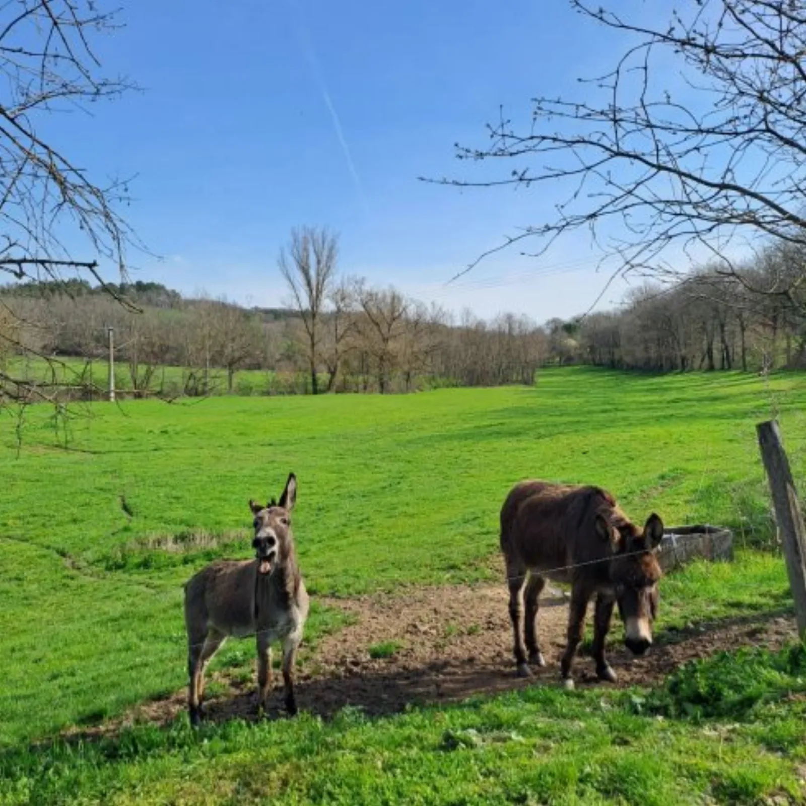 L'Ephémère & Spa : Dôme en Midi-Pyrénées (Occitanie) - photo 16 sur 40