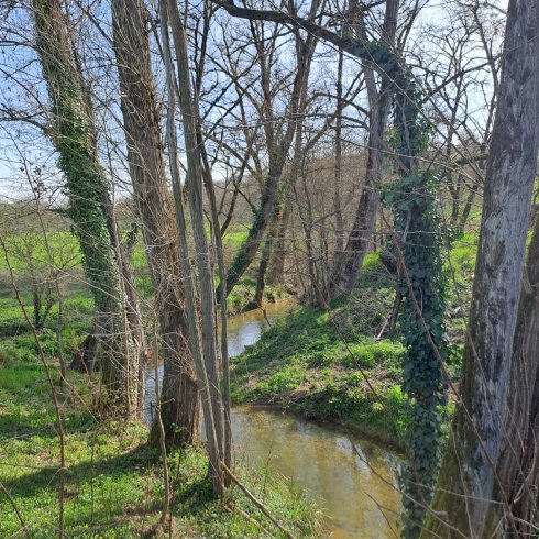 L'Ephémère & Spa : Dôme en Midi-Pyrénées (Occitanie) – photo 17 sur 40