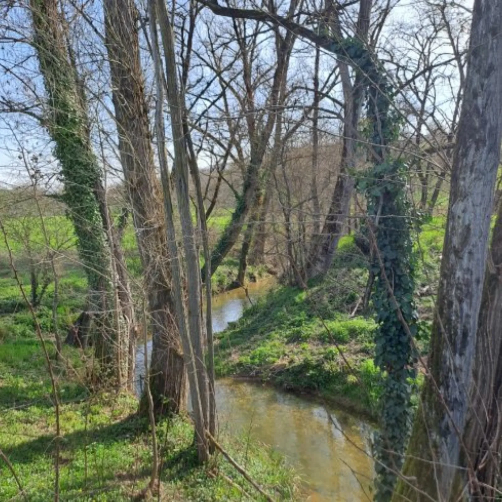 L'Ephémère & Spa : Dôme en Midi-Pyrénées (Occitanie) - photo 17 sur 40