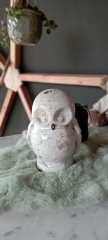 Cocon des Cabris : Dôme en Lorraine (Grand Est) – photo 10 sur 16