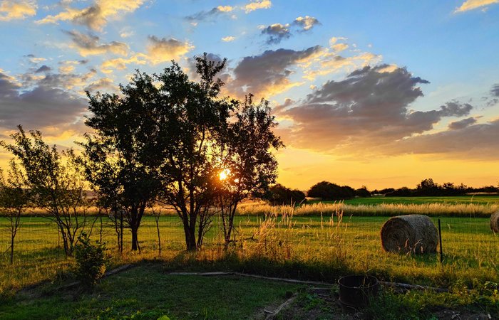 Cocon des Cabris : Dôme en Lorraine (Grand Est) – photo 13 sur 16