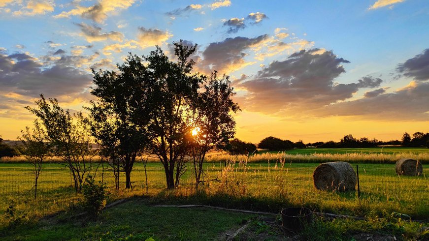Dôme aux oiseaux : Dôme en Lorraine (Grand Est) – photo 25 sur 32