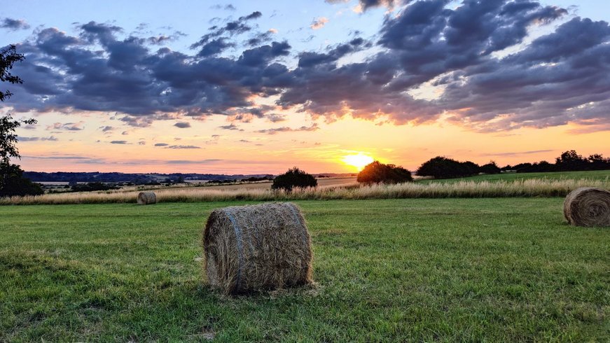 Dôme aux oiseaux : Dôme en Lorraine (Grand Est) – photo 26 sur 32